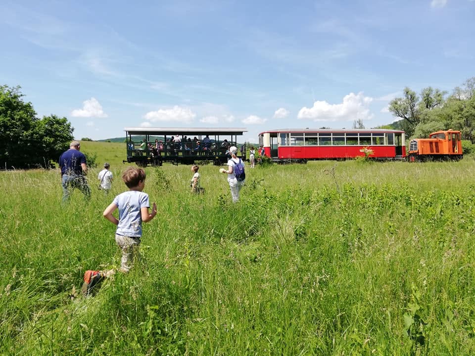 Cu Mocăniță pe Valea Hârtibaciului Mocăniță