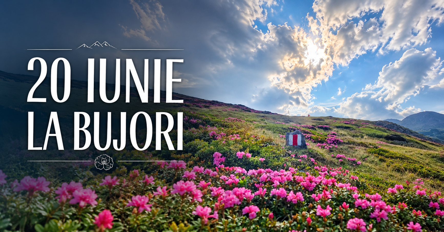 IEZERELE CINDRELULUI